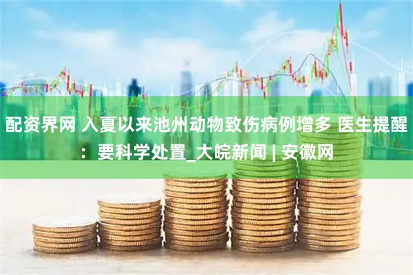 配资界网 入夏以来池州动物致伤病例增多 医生提醒：要科学处置_大皖新闻 | 安徽网